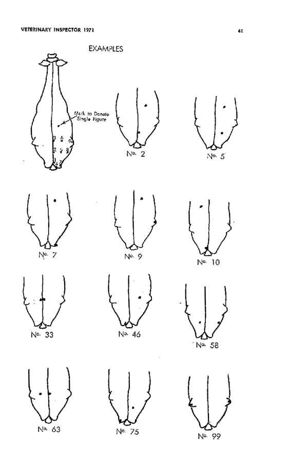 1971 Page 41